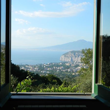 Gli Ulivi Agriturismo Sant'Agnello Ngoại thất bức ảnh