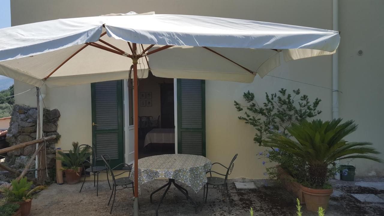 Gli Ulivi Agriturismo Sant'Agnello Ngoại thất bức ảnh