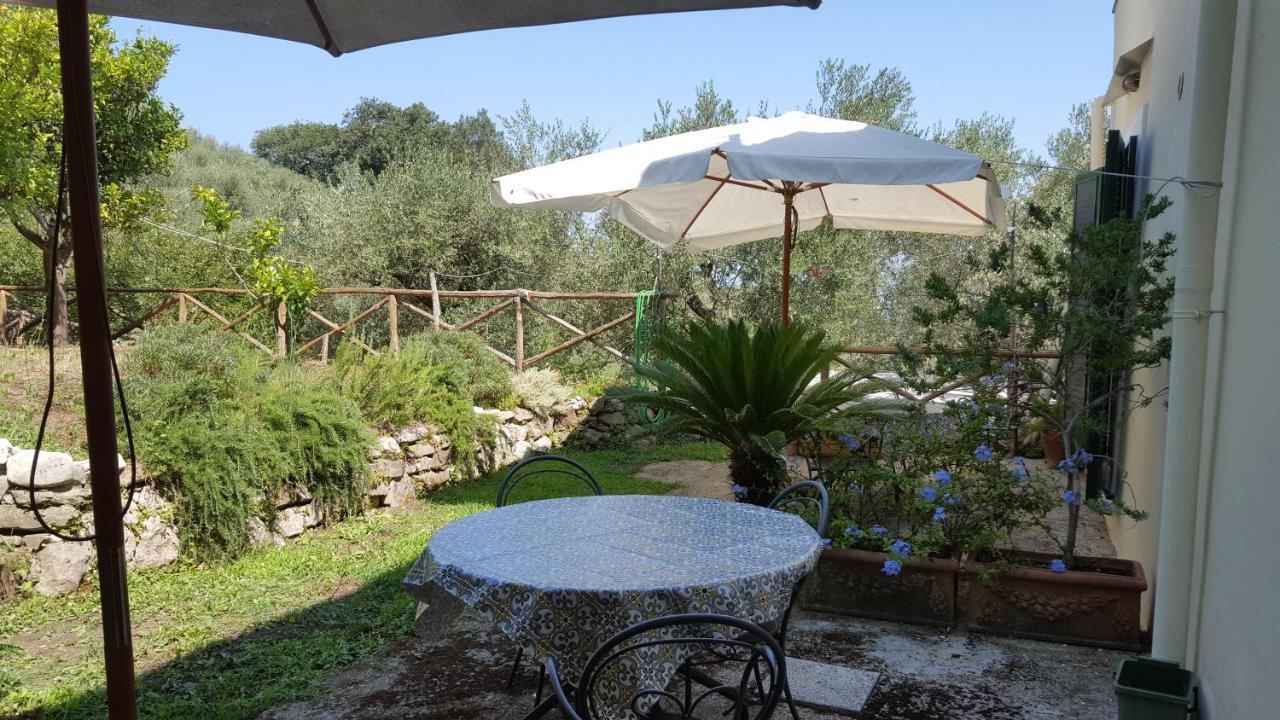 Gli Ulivi Agriturismo Sant'Agnello Ngoại thất bức ảnh