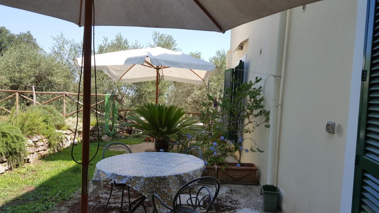 Gli Ulivi Agriturismo Sant'Agnello Ngoại thất bức ảnh