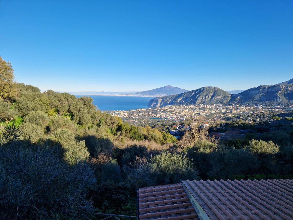 Gli Ulivi Agriturismo Sant'Agnello Ngoại thất bức ảnh
