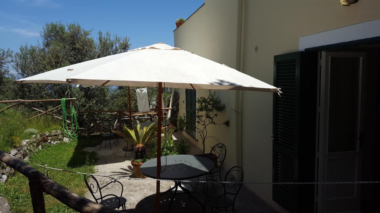 Gli Ulivi Agriturismo Sant'Agnello Ngoại thất bức ảnh
