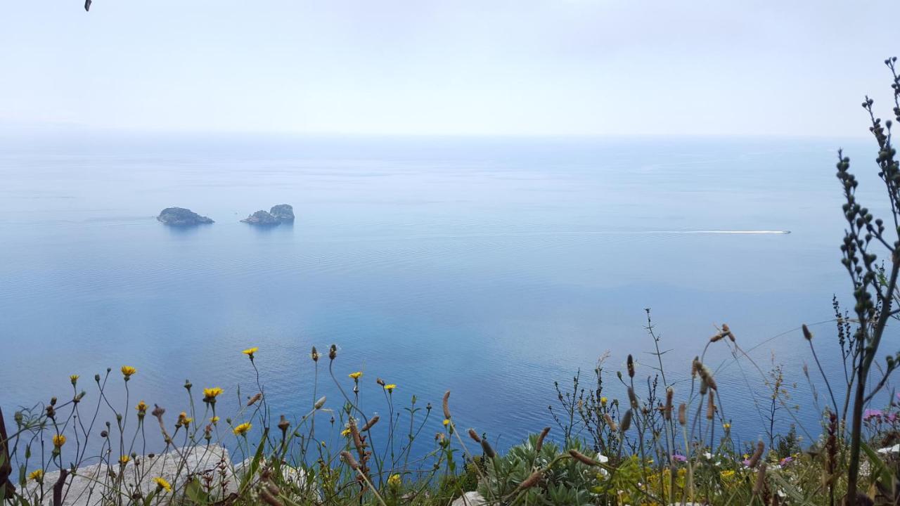 Gli Ulivi Agriturismo Sant'Agnello Ngoại thất bức ảnh