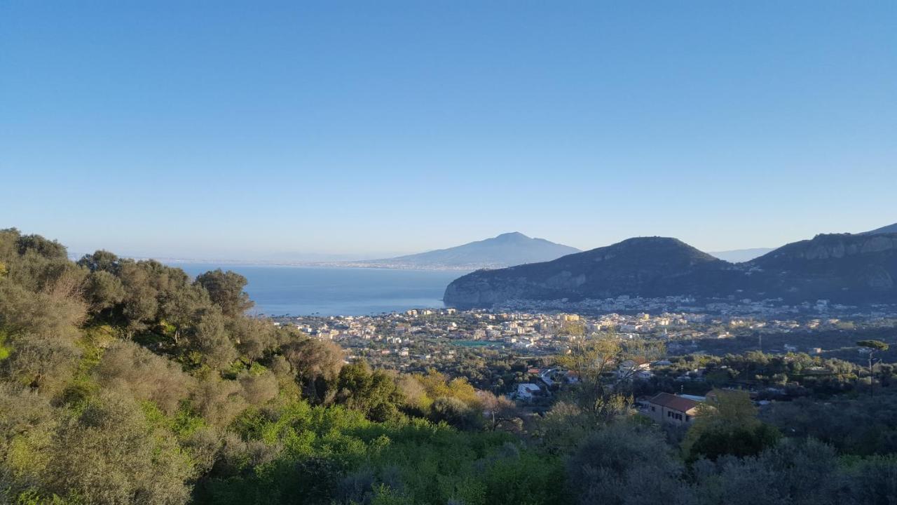 Gli Ulivi Agriturismo Sant'Agnello Ngoại thất bức ảnh