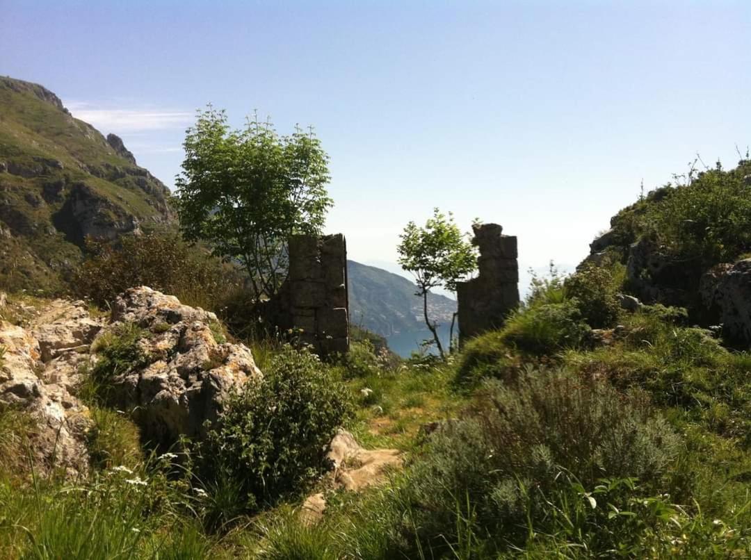 Gli Ulivi Agriturismo Sant'Agnello Ngoại thất bức ảnh