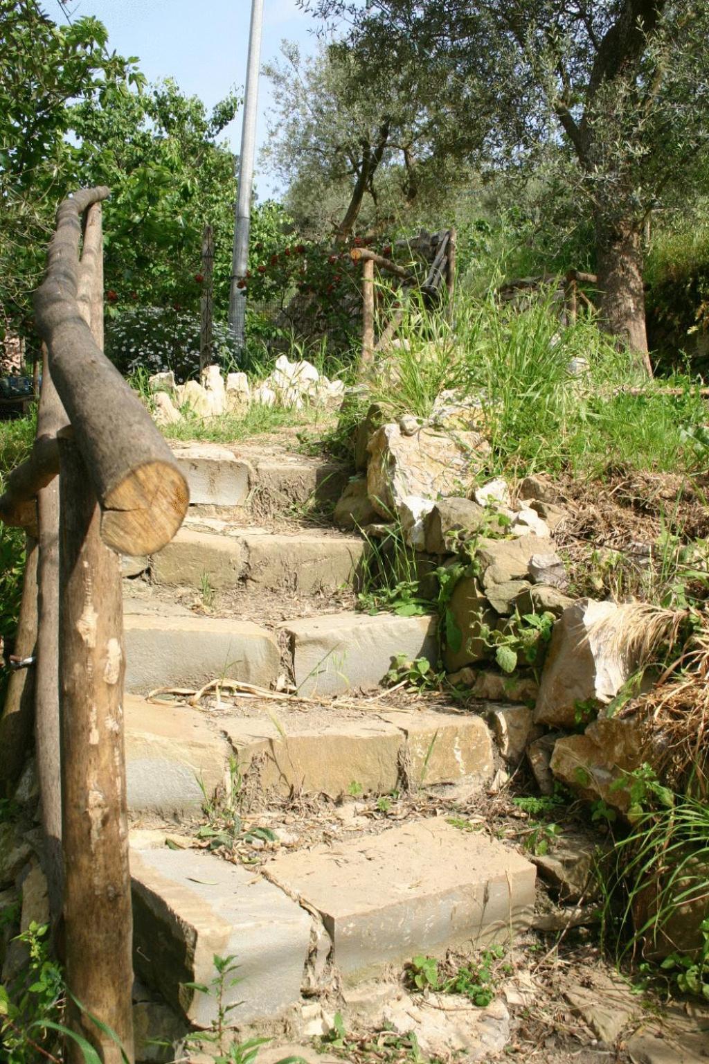 Gli Ulivi Agriturismo Sant'Agnello Ngoại thất bức ảnh