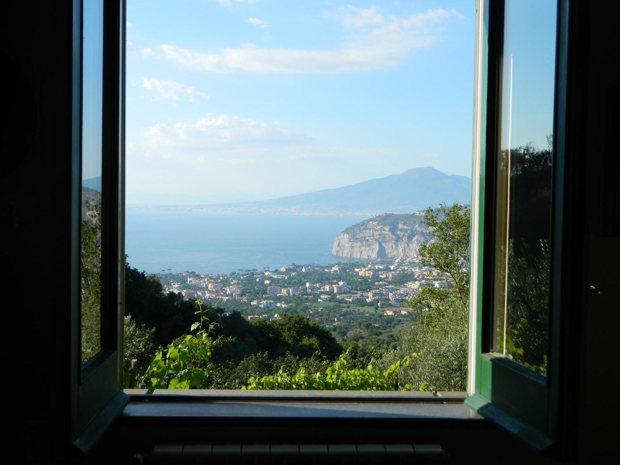 Gli Ulivi Agriturismo Sant'Agnello Ngoại thất bức ảnh