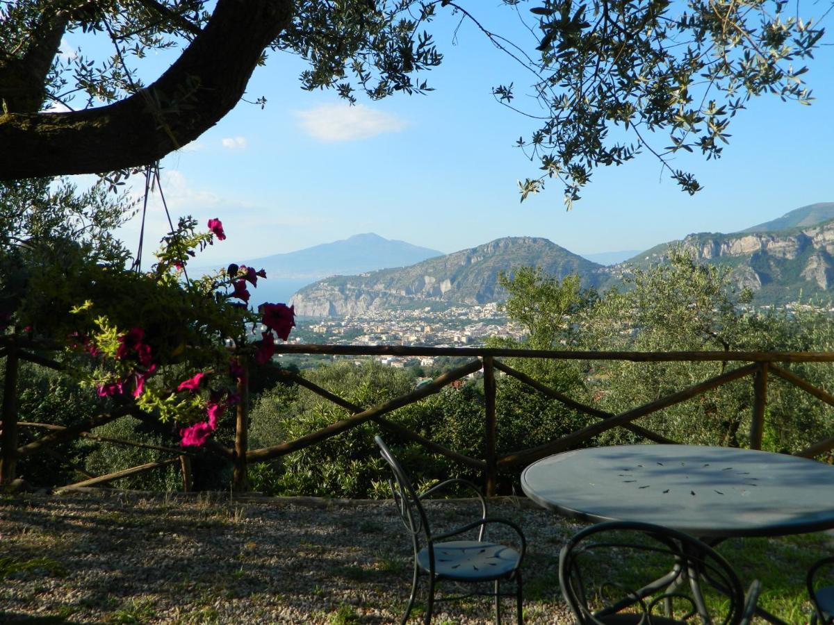Gli Ulivi Agriturismo Sant'Agnello Ngoại thất bức ảnh