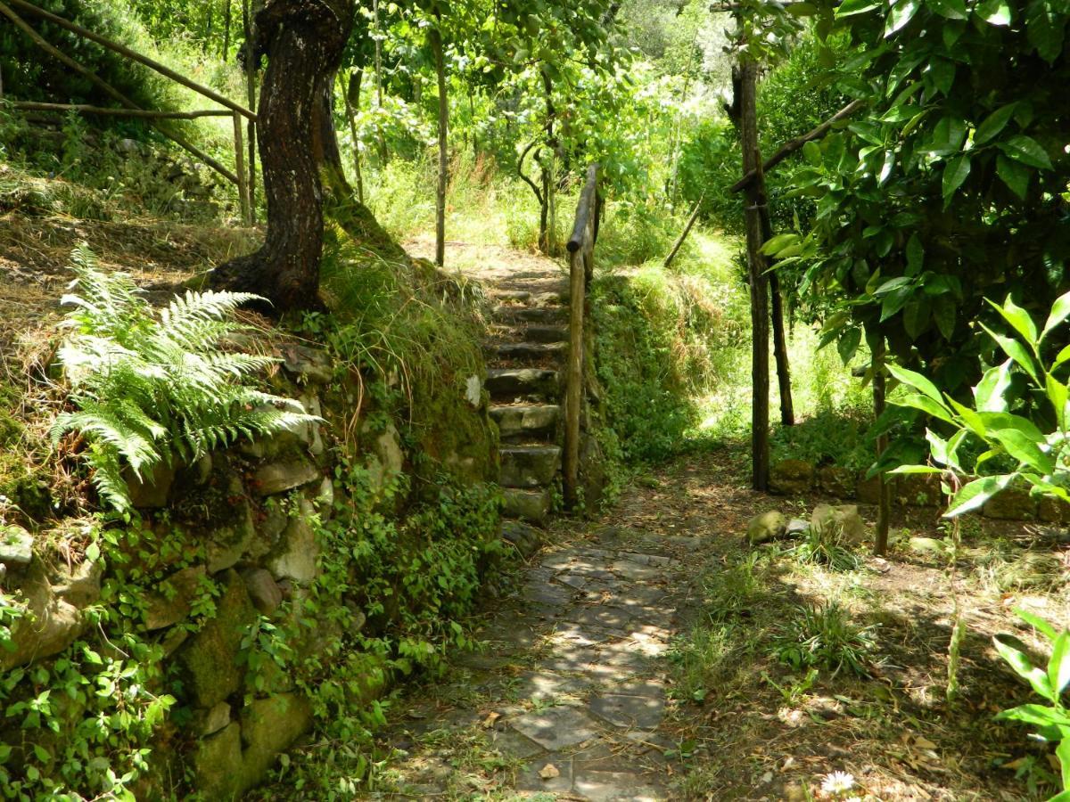 Gli Ulivi Agriturismo Sant'Agnello Ngoại thất bức ảnh